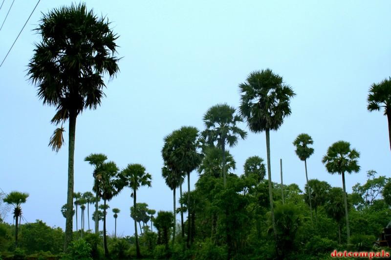 Trip to palakkad (KERALA, INDIA)