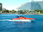 p1287329499(3).jpg
