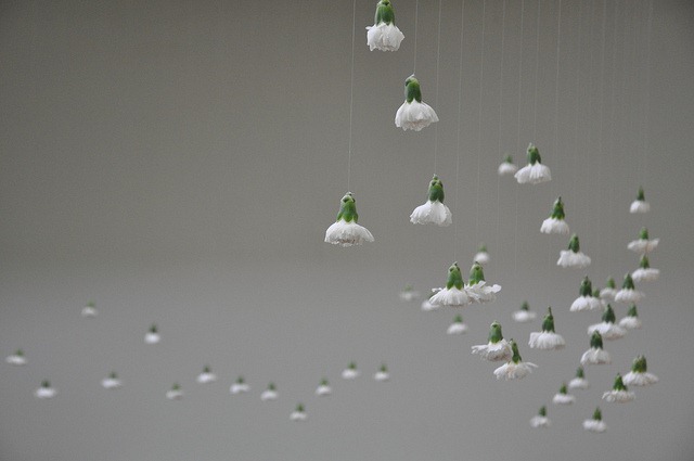 [5660387139_2ac4b0503f_z-lotte-and-bl%255B2%255D.jpg]