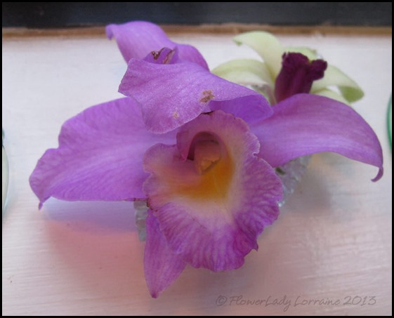 09-08-anni-orchids