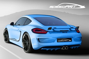 SpeedART-Cayman-2013_HECK_BLAU