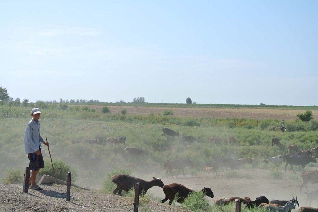 [DSC_6293%255B4%255D.jpg]