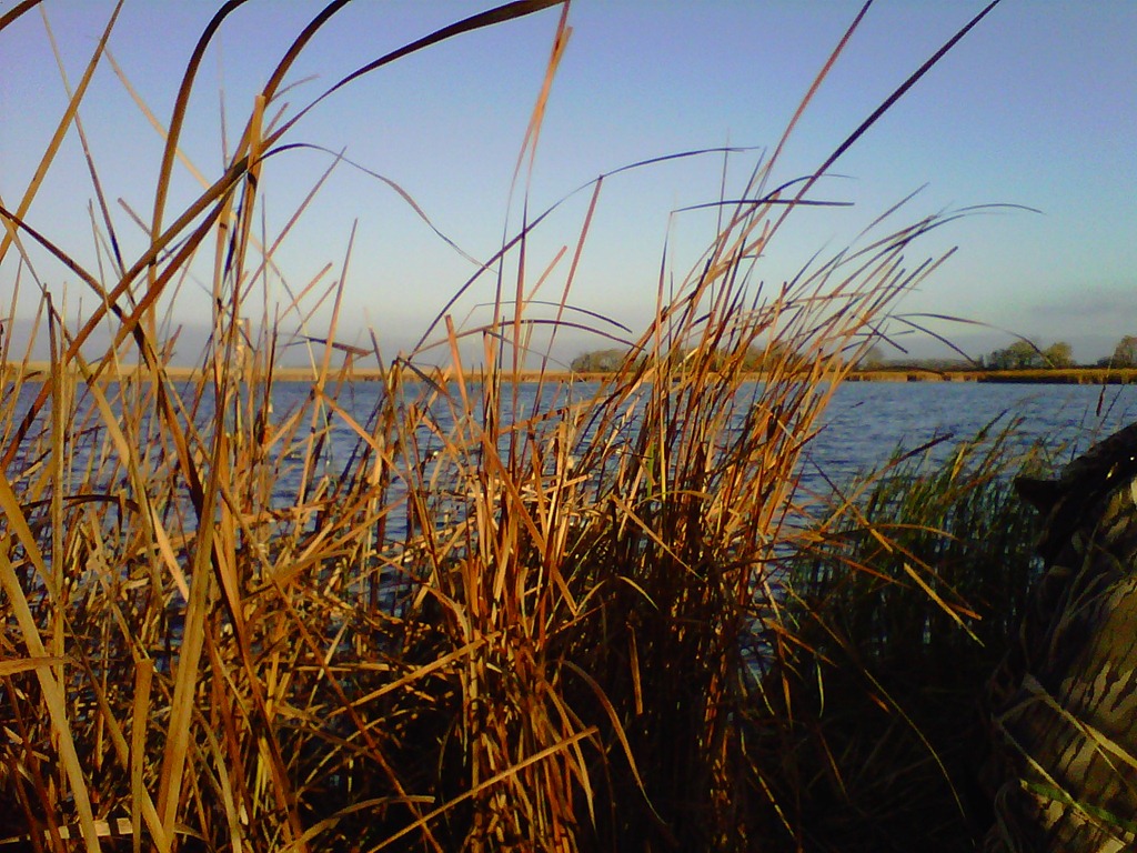 [IMG00287-20111013-0842%255B3%255D.jpg]