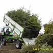 Tannenbaumaktion 08_782.jpg
