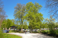 P1100202.JPG Photo