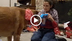 DSCN5788.MOV DSCN5788.MOV