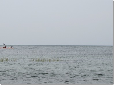 IMG_9582 (2)