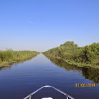 IMG_5709.JPG
