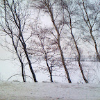 IMG_1067.jpg
