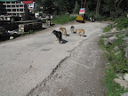 Path to Old Manali