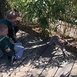 Cub Pack Holiday - Skreens Park 2012 - DSC_0198.jpg