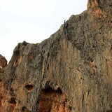 IMG_8741.jpg