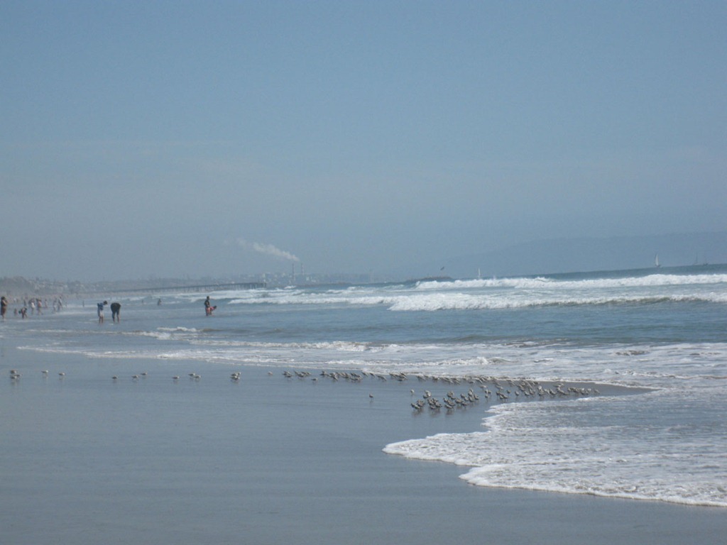 [california%2520spring%2520break%25202012%25200960096%255B5%255D.jpg]