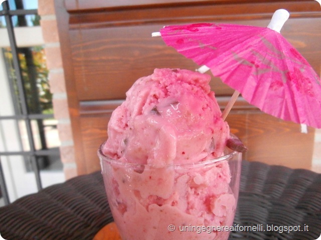 gelato gelatiera susine fragole cioccolato latte kefir gelato gelatiera susine fragole cioccolato latte kefir