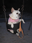 Swinging is a Blast!