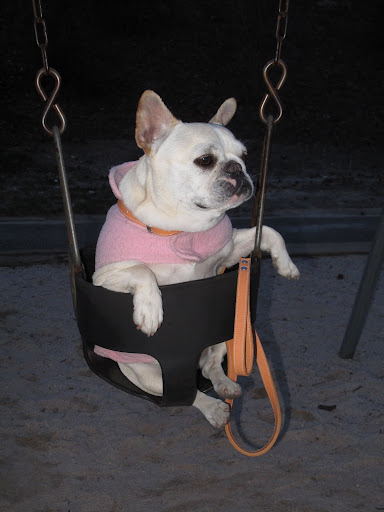 These swings are kind of comfy - don't you think, Franny?