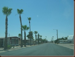 IMG_3755 IMG_3755