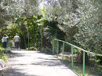 p1300354914(13).jpg