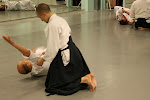 IMG_1781.jpg