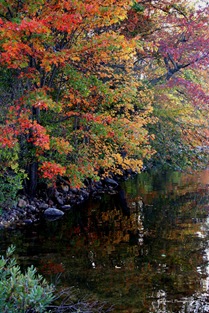 Autumn_1 Autumn_1