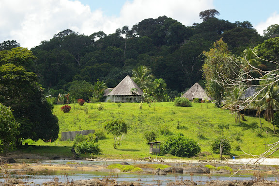 Saut Athanase (Guyane). 21 novembre 2011. Photo : J.-M. Gayman