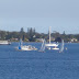 DSC00199c.jpg