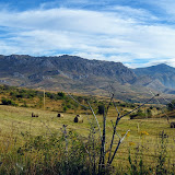 11/08 Val de la Tercia. Sullo sfondo i Montes de Penalaza.