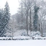 Winter 2010
