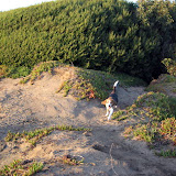 Fort Funston
