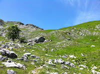 IMG_1424.JPG