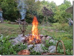 sacred fire sacrifice sacred fire sacrifice