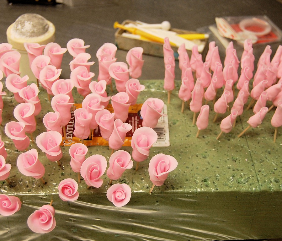 [pinkroses11%255B7%255D.jpg]