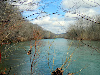 DSCN1903.JPG Photo