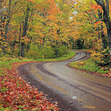 Fall Color Tour / Near Lake Superior / Northern Minnesota