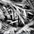 Hubble_Reverse Utopia Hubble_Reverse Utopia