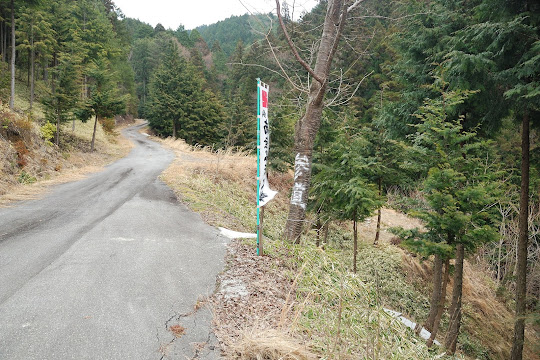 林道の途中