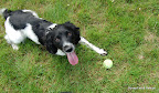 Come on Dad throw it