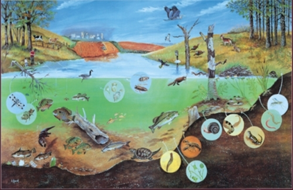 Lake ecosystem Lake ecosystem