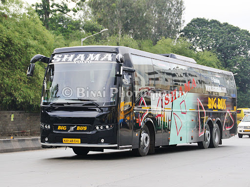 Shama Big Bus
