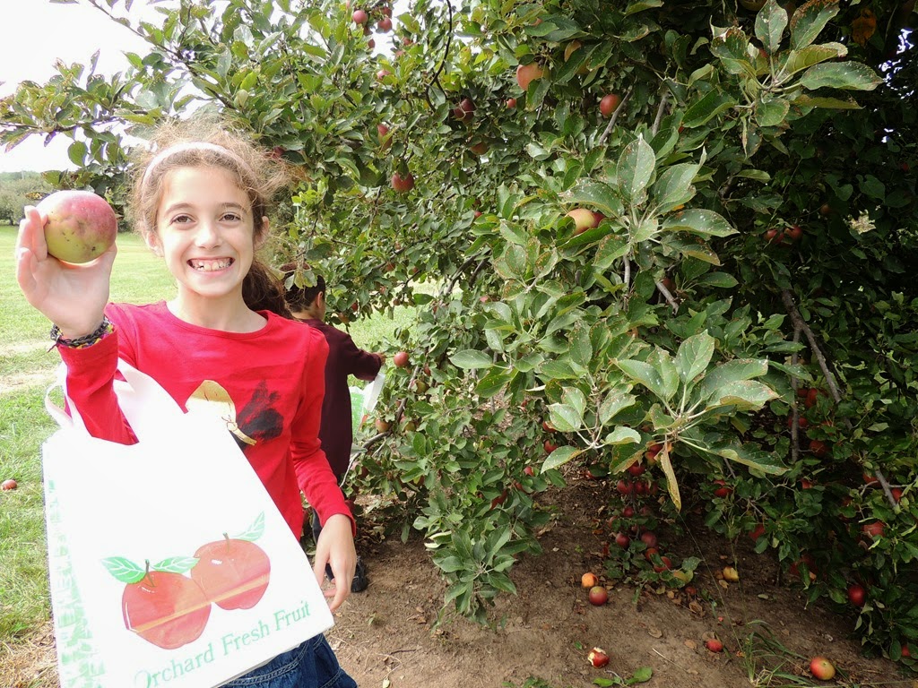 [DSCN0300%255B3%255D.jpg]