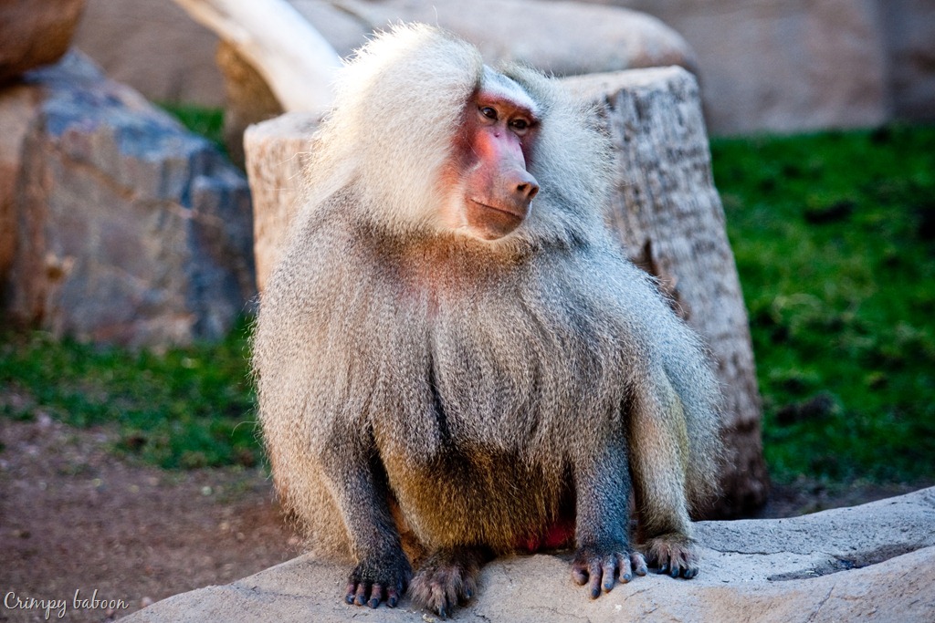 [20111231-IMG_0281%255B17%255D.jpg]