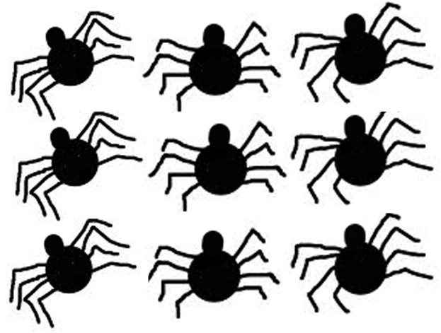 Spider Set of Nine Spider Set of Nine