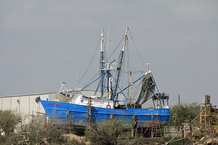Port of Brownsville Tour Shrimp boat 201323