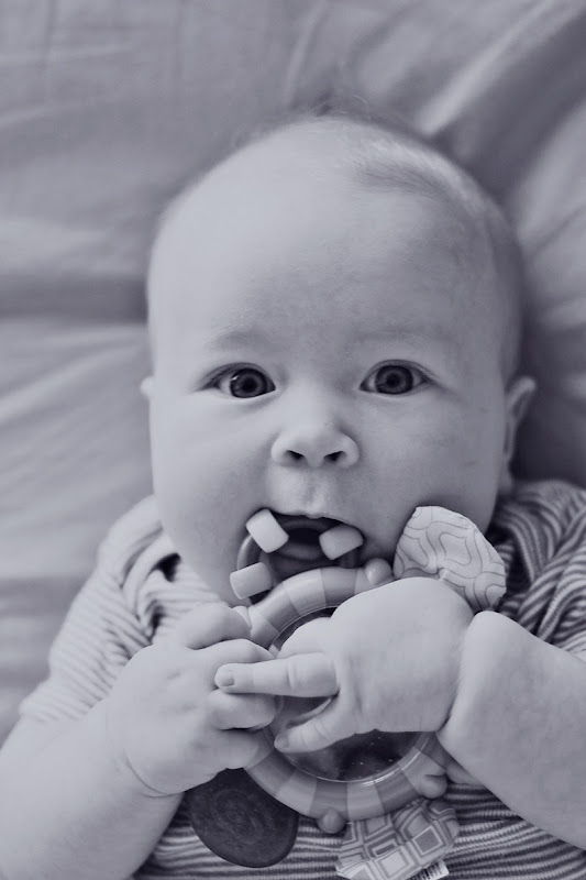 four_month_baby_toy four_month_baby_toy