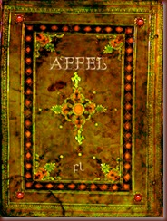 Affel_Cover Affel_Cover