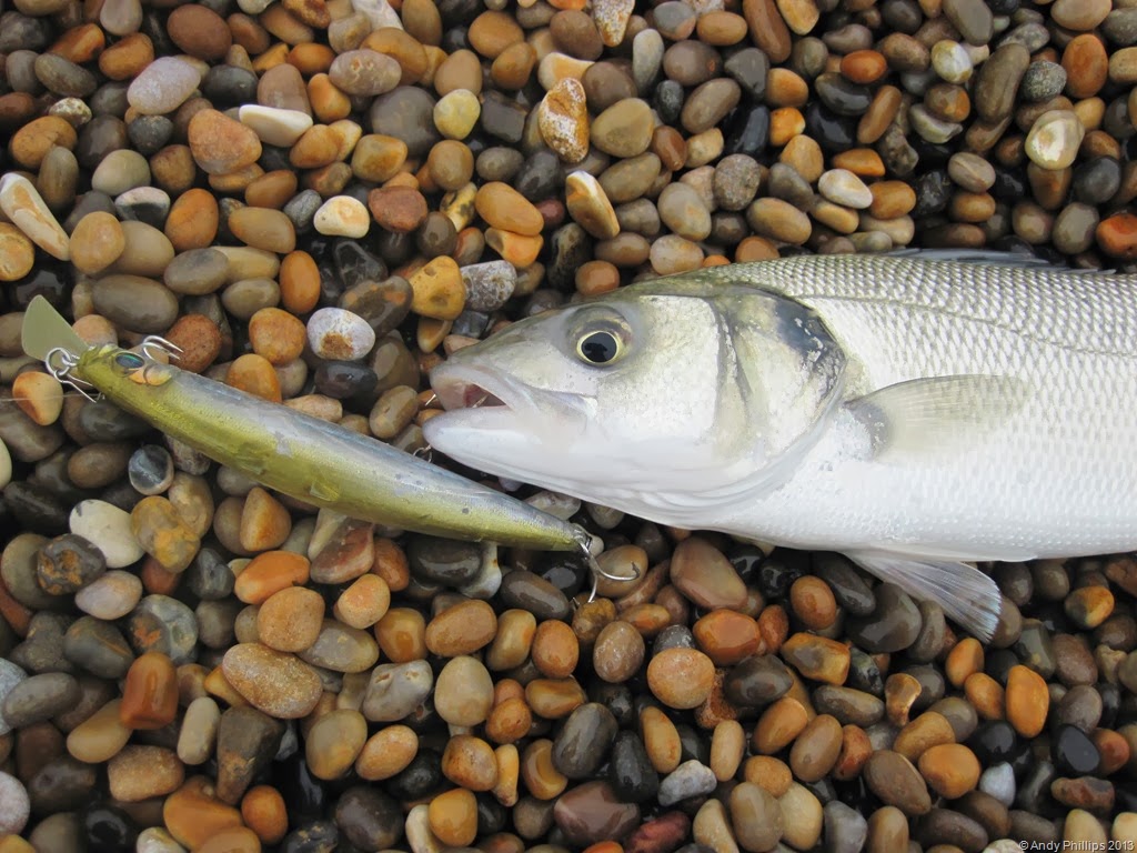 [IMG_1606%255B9%255D.jpg]