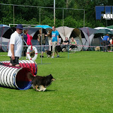 IMGP6956.JPG
