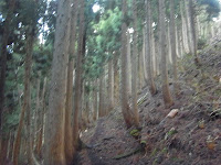 R0012637.JPG Photo
