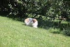 Yes, I saw him run like lightning in this direction!