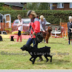 Pet Dogs 035.jpg